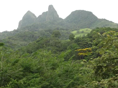 Finca Venta | ALTOS DEL MARIA, Panamá Oeste, 🇵🇦 Panama