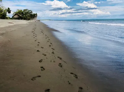 Terreno Venta | 12 COCO BEACH, Chiriqui, 🇵🇦 Panama
