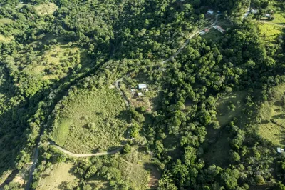 Finca Venta | 0 CHIRIQUI, BOQUETE, JARAMILLO ABAJO, Chiriqui, 🇵🇦 Panama