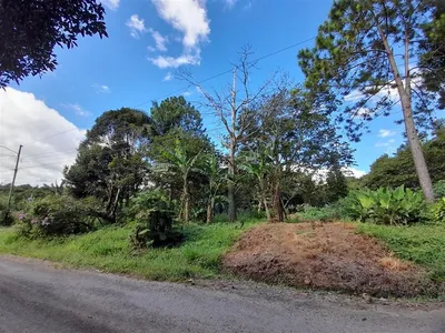 Terreno Venta | PALMIRA CENTRO, Chiriqui, 🇵🇦 Panama