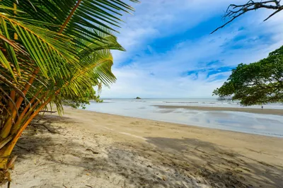 Lot For Sale | BOCA CHICA SAN LORENZO CHIRIQUI, Chiriqui, 🇵🇦 Panama