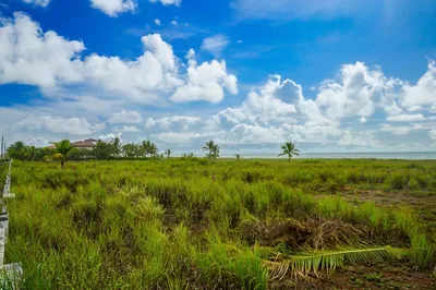 Terreno Venta | ALANJE CHIRIQUI PANAMA, Chiriqui, 🇵🇦 Panama