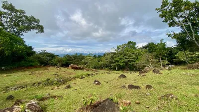 Finca Venta | CALLE SIN SALIDA, Panama Oeste, 🇵🇦 Panama