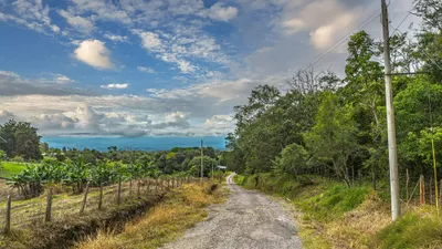 Finca Venta | LOS MAMEYES, Chiriqui, 🇵🇦 Panama