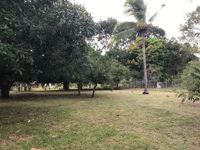 Lot For Sale | AVE. 8VA. SUR, NUEVA GORGONA, CHAME, Panamá Oeste, 🇵🇦 Panama