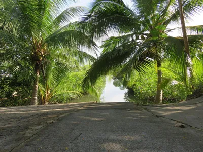 Finca Venta | BOCA CHICA, Chiriqui, 🇵🇦 Panama