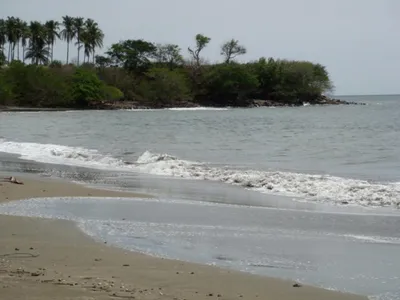 Terreno Venta | EL ESTERO HERRERA, Los Santos, 🇵🇦 Panama