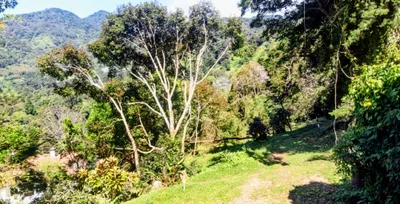 Terreno Venta | 0 CHIRIQUI, BOQUETE, PALO ALTO, THE SPRINGS, LOTE 13, Chiriqui, 🇵🇦 Panama