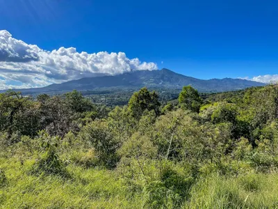 Terreno Venta | JARAMILLO ABAJO, BOQUETE, CHIRIQUI, Chiriqui, 🇵🇦 Panama