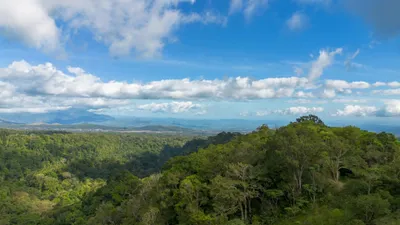 Terreno Venta | CABECERA DE COCHEA, POTRERILLOS, Chiriqui, 🇵🇦 Panama