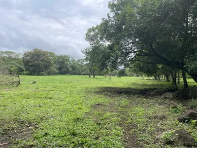 Finca Venta | LAS CANAS, Chiriqui, 🇵🇦 Panama