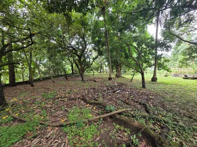 Terreno Venta | Chepo CHEPO, Panamá, 🇵🇦 Panama