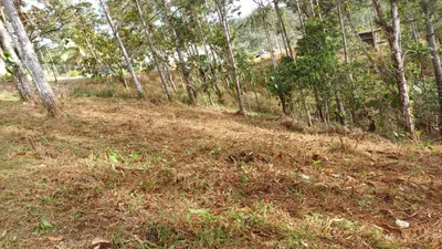 Terreno Venta | CERRO AZUL CERRO AZUL, Panamá, 🇵🇦 Panama