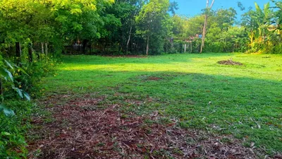 Terreno Venta | LAS LAJAS, CHIRIQUI, Chiriqui, 🇵🇦 Panama