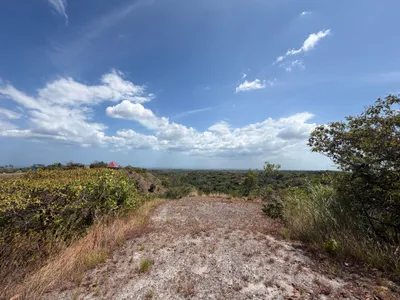 Finca Venta | CALLE PRINCIPAL, LA ERMITA, Panamá Oeste, 🇵🇦 Panama