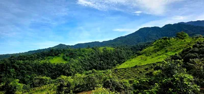 Finca Venta | BOQUERON, LAS MONJAS, Chiriqui, 🇵🇦 Panama