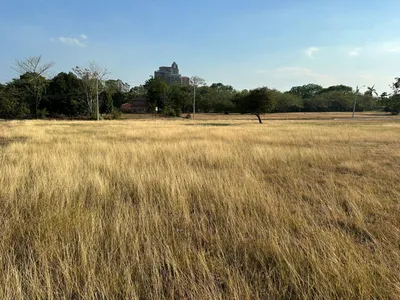 Terreno Venta | PALMERAS DEL GOLF, CALLE TAMARINDO, Panamá Oeste, 🇵🇦 Panama