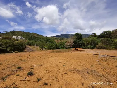 Terreno Venta | HORNITO, CHIRIQUI, Chiriqui, 🇵🇦 Panama