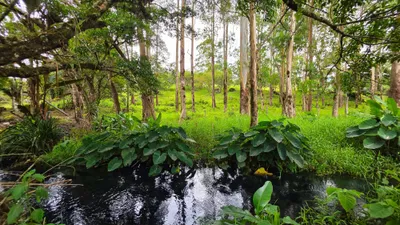 Terreno Venta | VOLCAN, Chiriqui, 🇵🇦 Panama