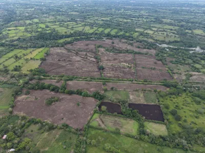 Finca Venta | 108 VIA A DE BUGABA A SANTO TOMAS, Chiriqui, 🇵🇦 Panama