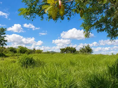 Terreno Venta | DOLEGA, CHIRIQUI, Chiriqui, 🇵🇦 Panama