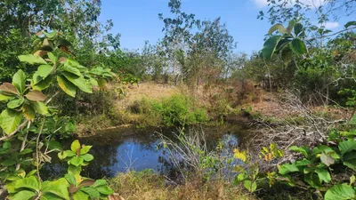 Finca Venta | VIA EL CRISTO, POCRI, Los Santos, 🇵🇦 Panama