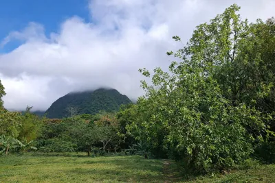 Terreno Venta | FRENTE AL ITP A LADO DE MONTESPINO, Cocle, 🇵🇦 Panama