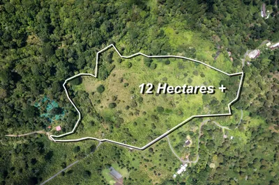 Finca Venta | 0 CHIRIQUI, BOQUETE, LOS NARANJOS, LA HORQUETA, Chiriqui, 🇵🇦 Panama