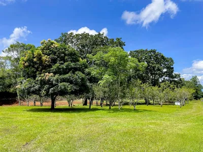 Terreno Venta | POTRERILLOS ABAJO, DOLEGA, Chiriqui, 🇵🇦 Panama