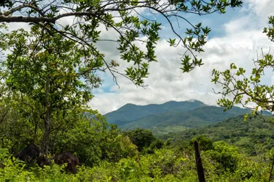 Terreno Venta | FLAT LAND IN BOQUETE CALDERA, Chiriqui, 🇵🇦 Panama