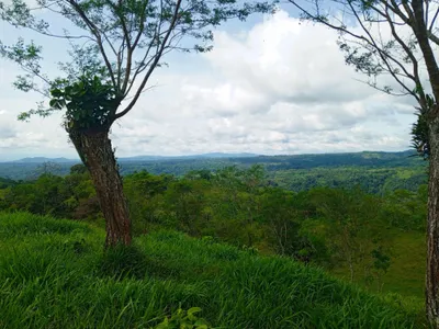 Finca Venta | BUGABA, FINCA, Chiriqui, 🇵🇦 Panama