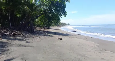 Terreno Venta | PLAYA BELLA VISTA LIMONES PUERTO ARMUELLES, Chiriqui, 🇵🇦 Panama