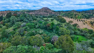 Finca Venta | VOLCAN, BUGABA, Chiriqui, 🇵🇦 Panama