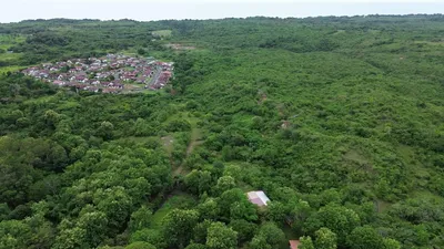 Finca Venta | PIEDRAS GORDAS, Cocle, 🇵🇦 Panama