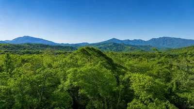 Terreno Venta | BIJAGUAL, CERRILLO, GUALACA, Chiriqui, 🇵🇦 Panama