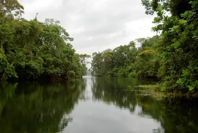 Finca Venta | EL LIMON, Colon, 🇵🇦 Panama