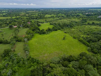 Finca Venta | MONTILLA, SAN PABLO VIEJO, Chiriqui, 🇵🇦 Panama