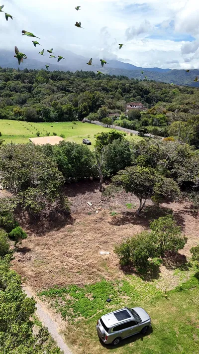 Terreno Venta | CALLE SN PALMIRA, Chiriqui, 🇵🇦 Panama