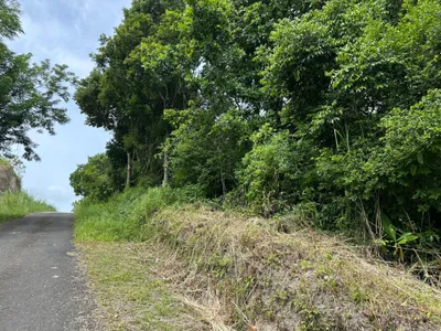 Terreno Venta | CARRETERA LAS UVAS HACIA EL VALLE DE ANTON KILOMETER 11, Panamá Oeste, 🇵🇦 Panama