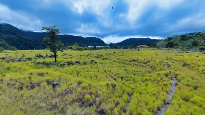 Terreno Venta | PASO ANCHO, VOLCAN, Chiriqui, 🇵🇦 Panama