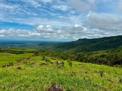 Finca Venta | CORREGIMIENTO DE JARAMILLO, BOQUETE, Chiriqui, 🇵🇦 Panama