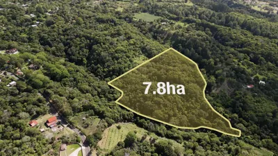 Finca Venta | PALMIRA ARRIBA, BOQUETE, CHIRIQUI, PANAMA, Chiriqui, 🇵🇦 Panama