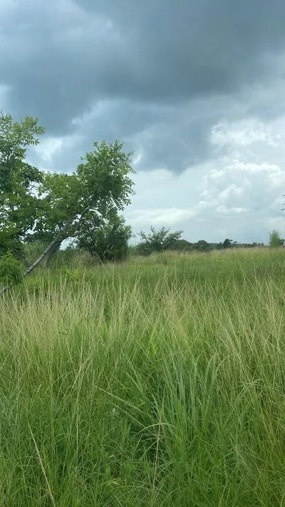 Finca Venta | NUEVA GORGONA COLONCITO, Panamá Oeste, 🇵🇦 Panama