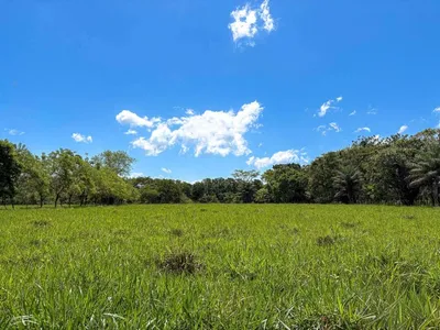 Terreno Venta | GUACA, DAVID, CHIRIQUI PROVINCE, Chiriqui, 🇵🇦 Panama