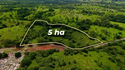 Finca Venta | CALLE COCHEA ABAJO, BARRIADA COCHEA ABAJO, Chiriqui, 🇵🇦 Panama