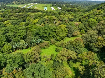 Terreno Venta | EN LAS FALDAS DE CERRO PILON EN LA MESA DE EL VALLE DE ANTON., Cocle, 🇵🇦 Panama