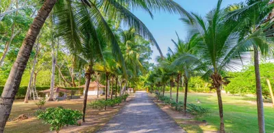 Finca Venta | LAS MANANITAS, Panamá Oeste, 🇵🇦 Panama