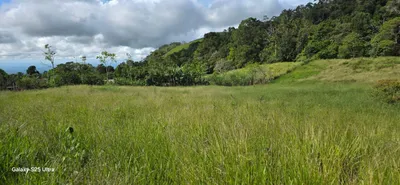 Terreno Venta | CALLE DOLEGA, BARRIADA ROVIRA, Chiriqui, 🇵🇦 Panama