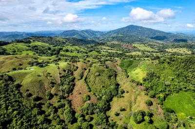 Finca Venta | 0 LOS SANTOS, LAS TABLAS, PALMIRA, Los Santos, 🇵🇦 Panama