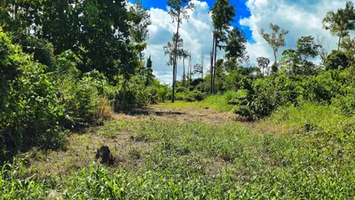 Terreno Venta | LOTE DE TERRENO EN LA ESTRELLA, BUGABA, Chiriqui, 🇵🇦 Panama